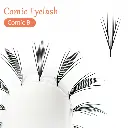 COMIC B.webp