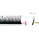 WETLASHES1.webp