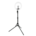 Aro de luz LED 14 pulgadas