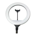 Aro de luz LED 10 pulgadas
