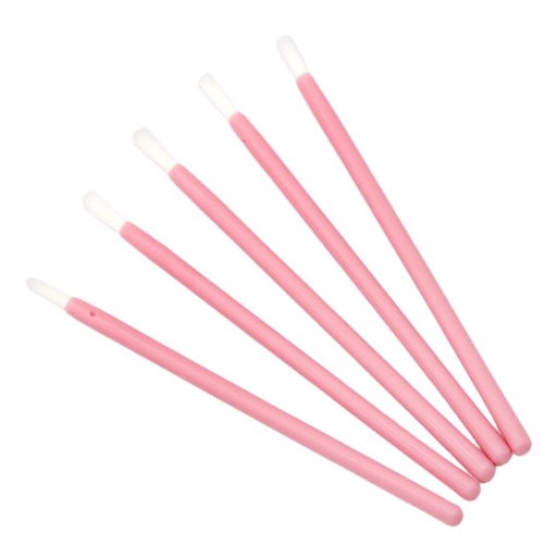 Paq. Pincel Brush 10 PZS